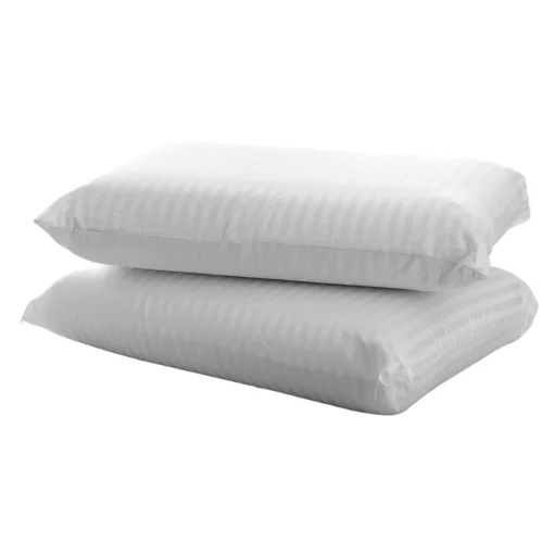 Pack 2 Almohadas 70cm VISCOSILK -Descansaya Tienda De Ventas 2df758b561747ae55149c771e7f849107201f4e5 391776 01