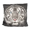 Cojín TIGRE