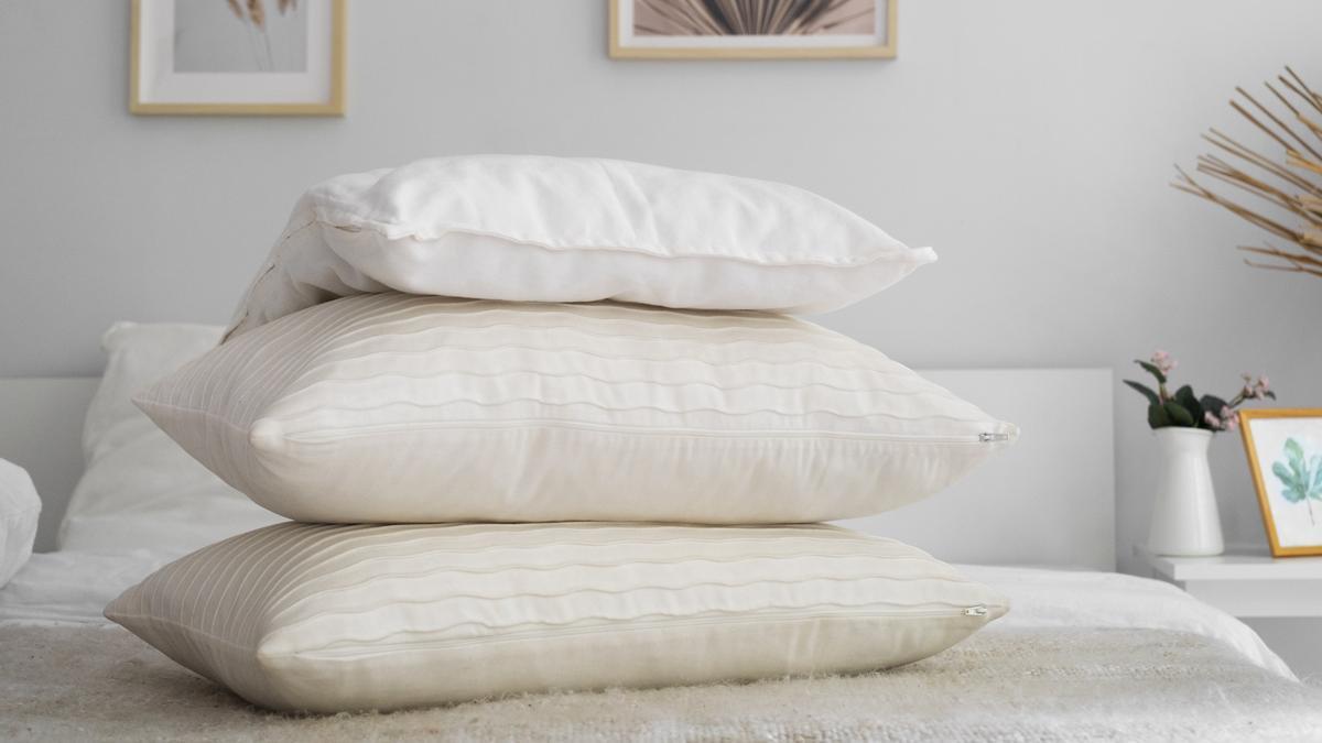 Descansaya Tienda De Ventas 11 Descansaya Tienda De Ventas -Descansaya Tienda De Ventas 2